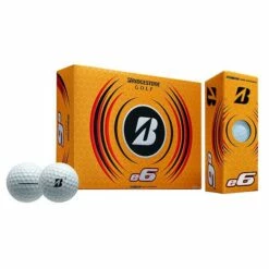 Bridgestone 2023 E6 White