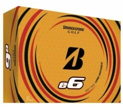 Bridgestone 2021 E6 White